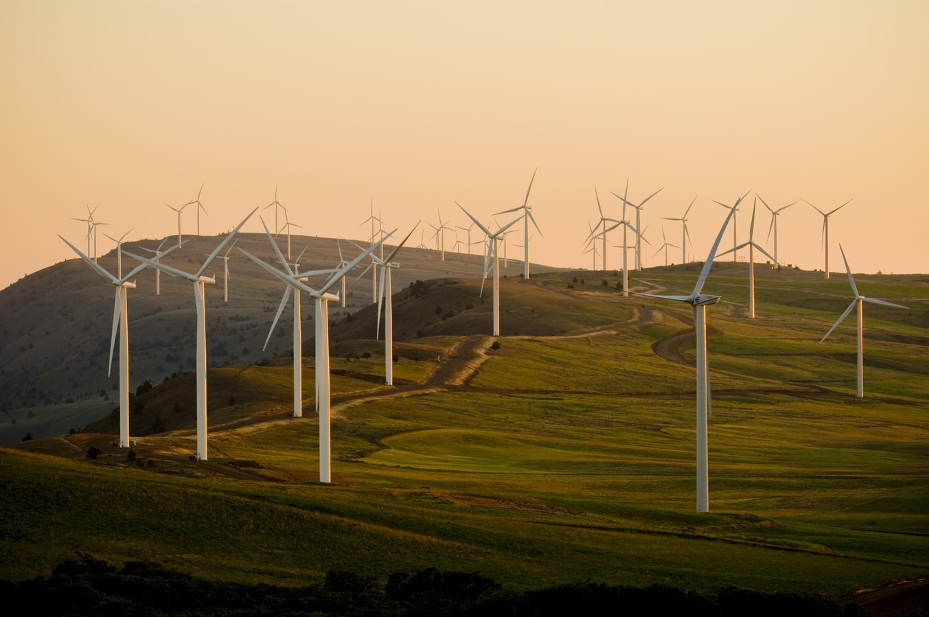 Champ d'éoliennes qui produisent des énergies renouvelables